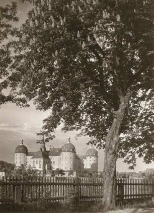 Moritzburg. Jagdschloss (Umbau 1722-1730; M. D. Pöppelmann). Ansicht von Südwesten mit blühender Rosskastanie