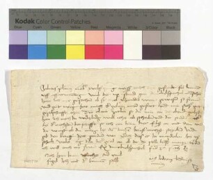Jodocus Wind an Magdalena von Suntheim, Klosterfrau zu Söflingen