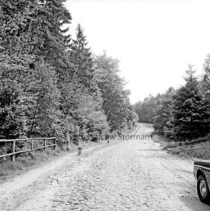 Hahnheide: Hohenfelder Damm: Landstraße Richtung Trittau mit Kopfsteinpflaster: hinten Wald