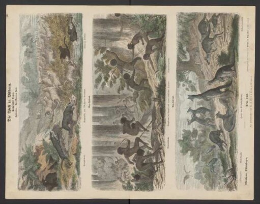 Die Welt in Bildern, sechzehnter Bogen: Australien. Van-Diemens-Land, Neu-Holland