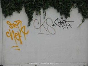 STeR cheF *CHeF* | cKS
