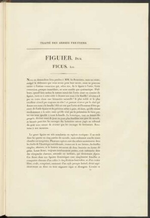 Figuier. Duh. Ficus. Lin.