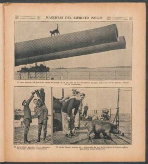 Mascotas del ejército inglés - [Ilustración]