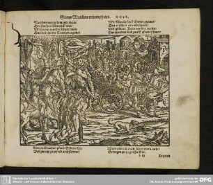 Gneus Manlius triumphiert. XCIX.