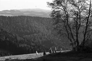 St. Märgen: Wiese mit Familie an Birkengruppe; Hintergrund Feldberg