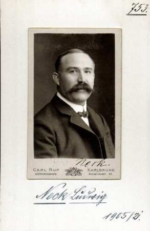 Neck, Ludwig, Nationalliberale / DDP