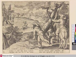 [Jagd auf Krähen und Stare; Crow and starling hunt]