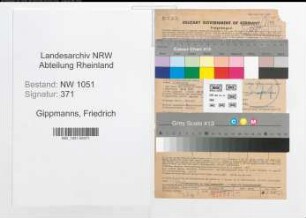 Entnazifizierung Friedrich Gippmanns , geb. 18.02.1890 (Maler)