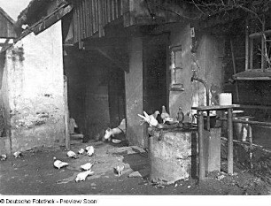 Großpostwitz : Großpostwitz (Kreis Bautzen), Wohnhaus Nr. 3. Hofansicht mit Tauben am Brunnentrog und Wasserleitungsanschluß