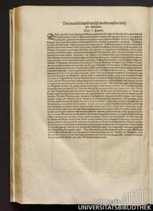 Das XI. Capitel. Von mancherley Gemähl in oder außwendig der Gebewen.