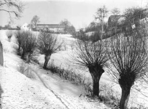 Elbtallandschaft. Kopfweiden im Wiesental und Gutshöfe. Elbhöhen bei Wachwitz