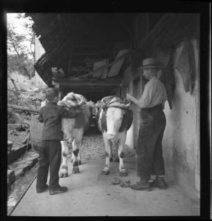 Landwirtschaft im Schwarzwald