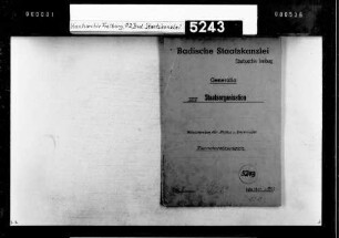 Zurruhesetzung von Lehrkräften an Höheren Schulen und von Schulräten, Entpflichtung von Professoren