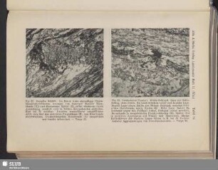 Fig. 28. Gebänderter Prasinit