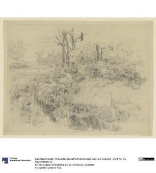 Wiesenlandschaft mit kleinen Bäumen und Gebüsch