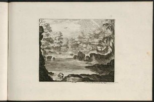 157r-157v, Auenwald mit Fischer