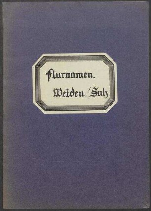2 Fragebogen und Karte Weiden, OA Sulz