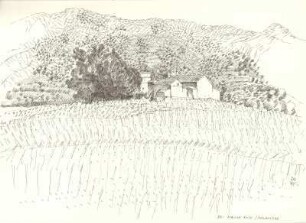 Provence 1995