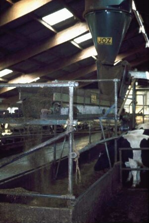 Fotografie: Fütterungstechnik, Futtervorlage, Fördergebläse