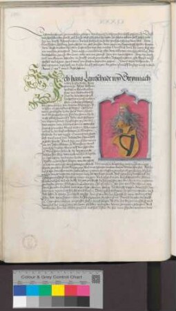 Hans Landschad von Steinach