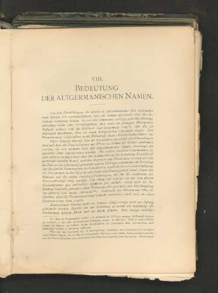 VIII. Bedeutung der altgermanischen Namen.