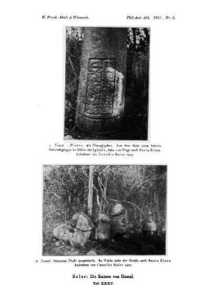 Taf. XXXV. : 1. Uxmal. "Picote" mit Hieroglyphen. Aus dem Hofe einer kleinen Gebäudegruppe im Süden der Iglesia, links vom Wege nach Santa Elena. Aufnahme von Caecilie Seler 1907. 2. Uxmal. Steinerne Phalli (xceptúnich). Im Walde nahe der Straße nach Santa Elena. Aufnahem von Caecilie Seler 1907.