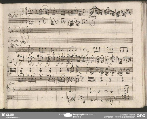 Cavatina: "Se bello al par del volto"