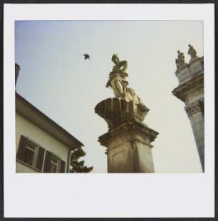 Nördlicher Brunnen der St. Ursenkathedrale in Solothurn