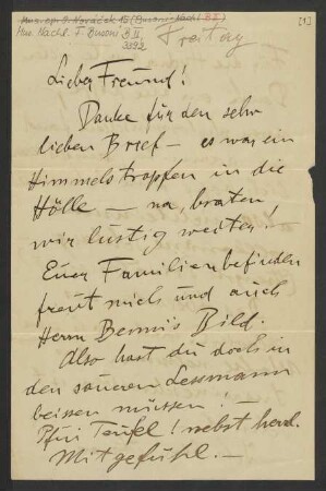 Brief an Ferruccio Busoni, 28.06.1895