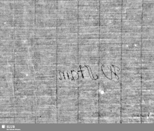 W Stam / Lilie = Nachsatzblatt