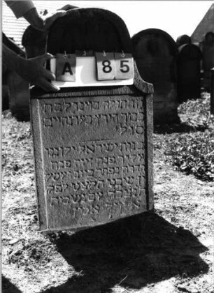 Grabstein 85 (Index: 99798161) Material: Sandstein, rot Zustand: leicht verwittert Maße HxBxT: 97x53x12 cm Beschreibung: Stele, geschweifter Abschluß Symbolik: gekreuzte Palmblätter: Grabstein 85A