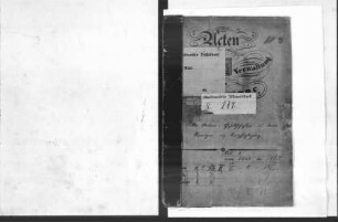 Die Aktiengesellschaften, deren Vermögen und Beaufsichtigung