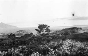 Landschaft von Itete Richtung Nyassa See : Blick über eine Landschaft