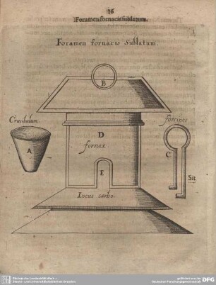 Foramen fornacis Sublatum.