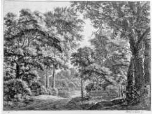 Waldlichtung mit Weg und Zaun (Nr. 2 einer Folge Landschaften, links unten numeriert)