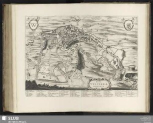 Nova Vulterrae Delineatio