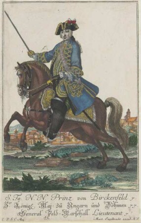 Bildnis des von Birckenfeld