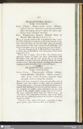 Plagiostoma rusticum. Tab. CCCL XXXI