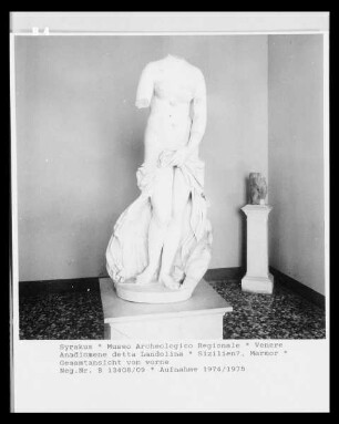 Venere Anadiomene detta Landolina