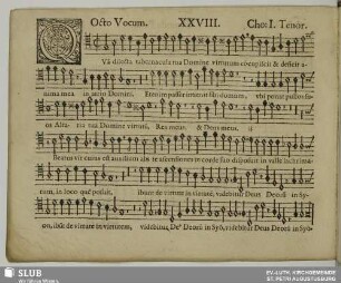 XXVIII. Quam dilecta tabernacula