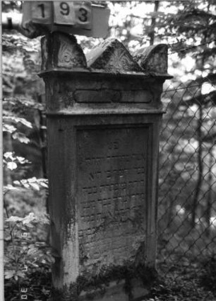 Grabstein 193 (neu: 614): Grabstein 193 (neu: 614 Nachholaufnahme)