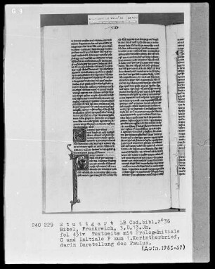 Bibel — Initiale P (aulus apostolus), darin der Apostel mit Schwert, Folio 431verso