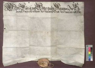 Freiheitsbrief Markgraf Friedrichs von Baden-Durlach für das Schloß Wangen.