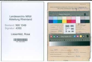 Entnazifizierung Rosa Liesenfeld , geb. 08.03.1883 ()