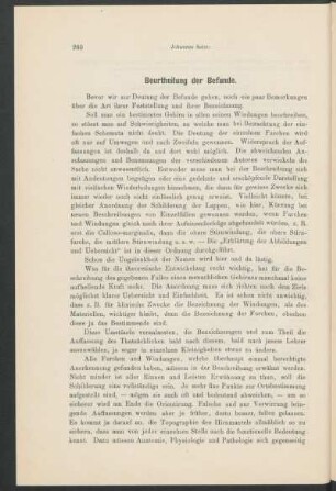 Beurtheilung der Befunde.