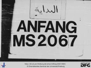 MF Mau 2067
