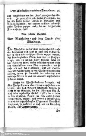 Vom Wacholder- und dem Taxus- oder Eibenbaum