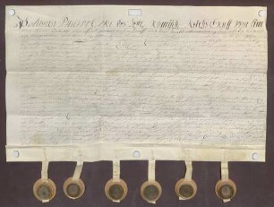 Instrumentum probationis des Grafen Hugo August Philipp von Limburg-Stirum.