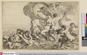 [Triumph der Amphitrite]