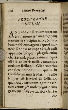 Procurator Litium. - Consultus.